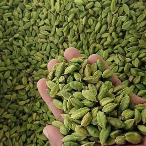 Cardamom