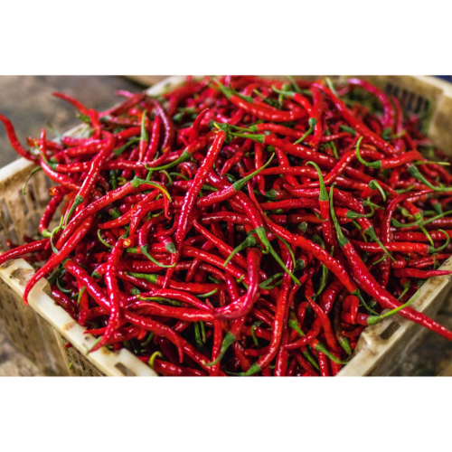 Chilli